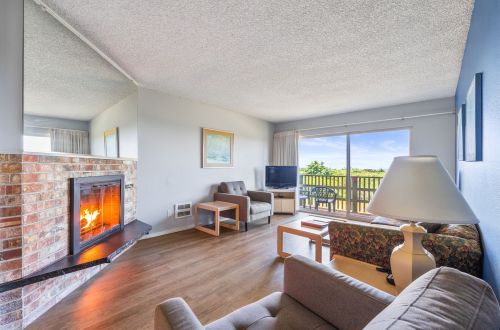 313 Uptown Gull