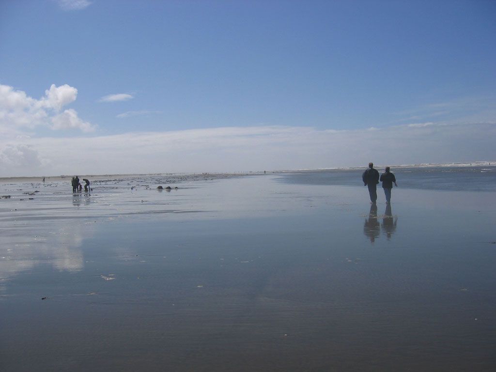 digging for razor clams in ocean shores