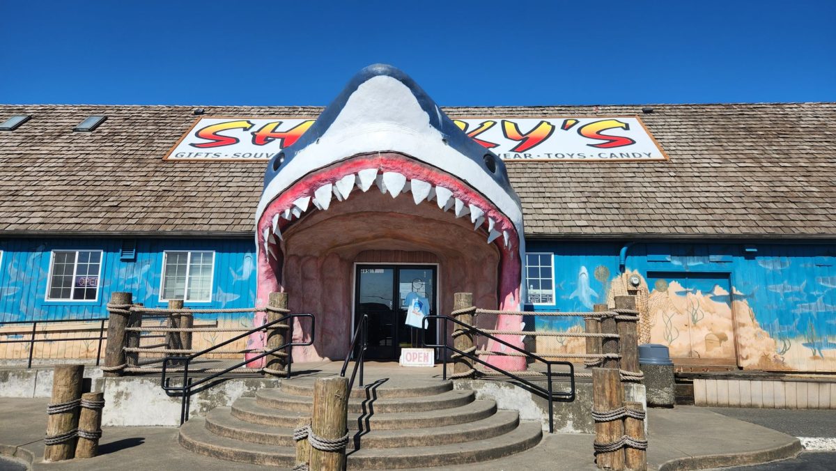sharkys ocean shores