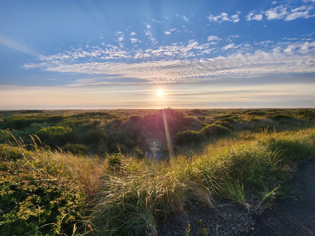 sunset over the beach