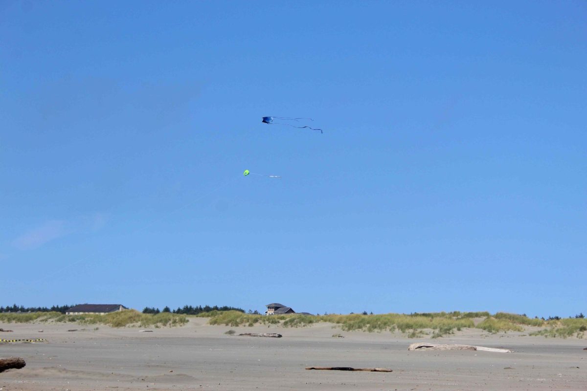 free things to do in ocean shores, fly a kite on the beach