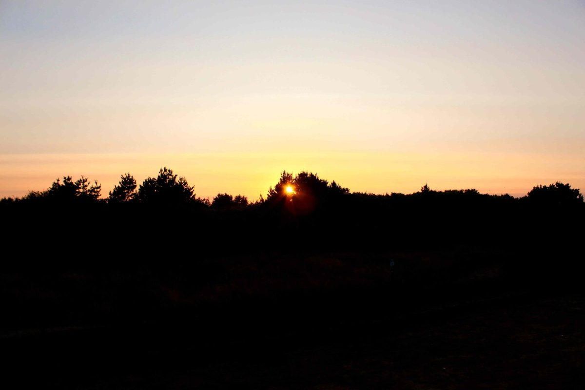 sunset in ocean shores