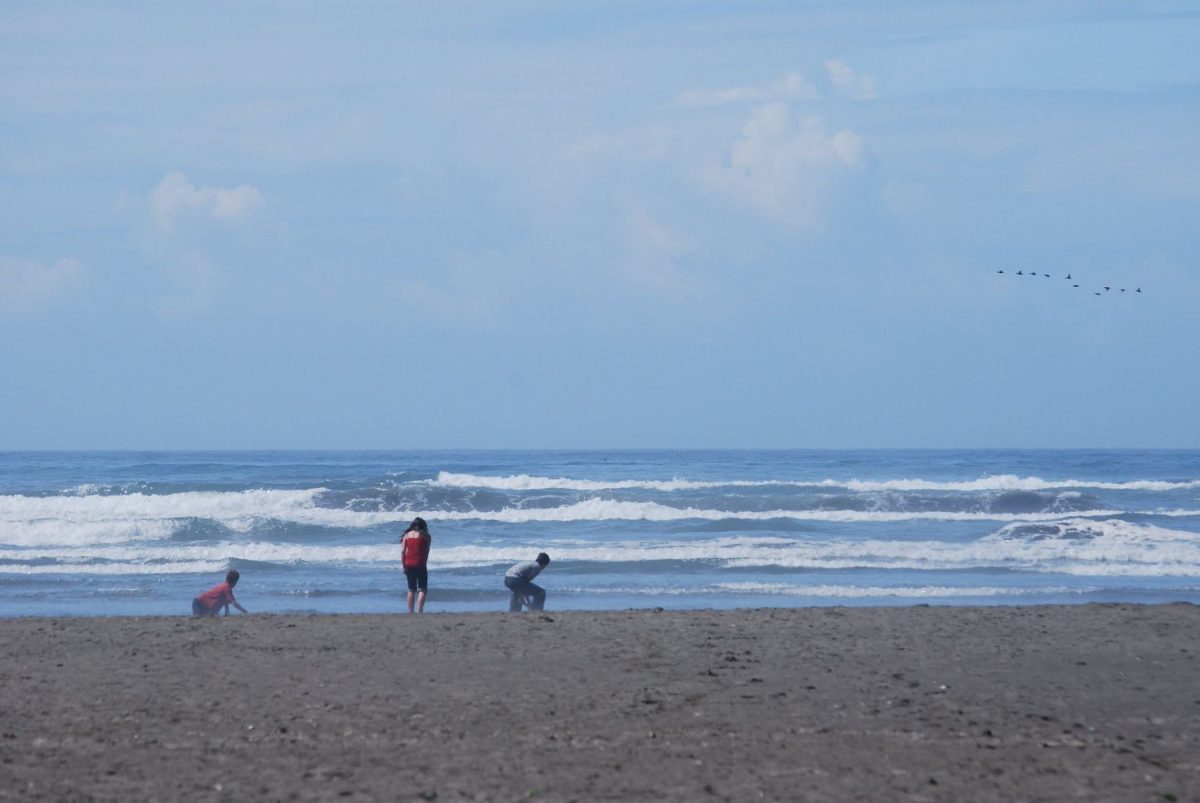 beach at seabrook